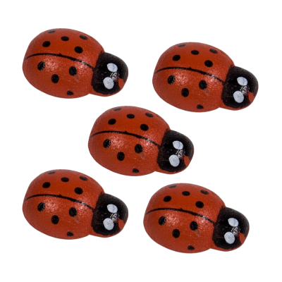 Coccinelle con biadesivo (80 pezzi)