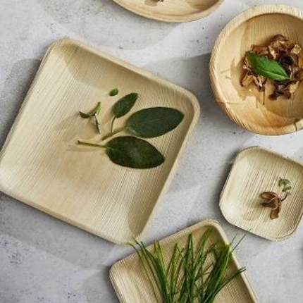 Piatti quadrati in foglia di palma (12 pezzi)