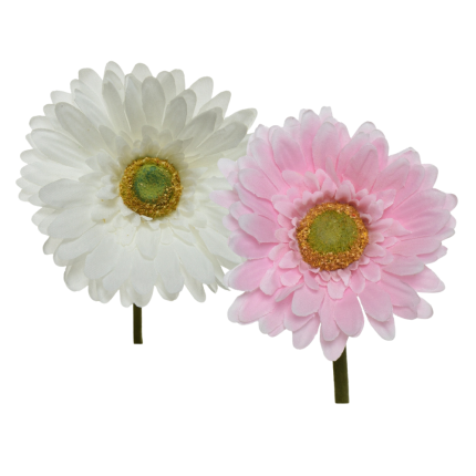Gerbera