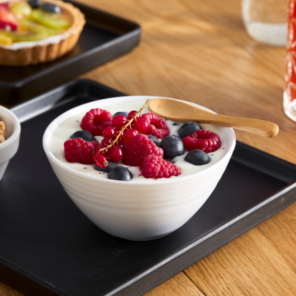 Ciotola per yogurt in melamina Ciotola per yogurt in melamina