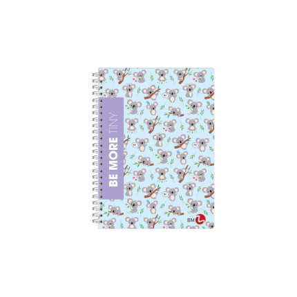 Quaderni Spiralati A5 Fantasia 60 Fogli a Quadretti