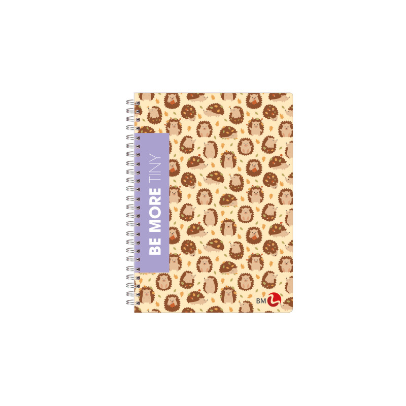 Quaderni Spiralati A5 Fantasia 60 Fogli a Quadretti