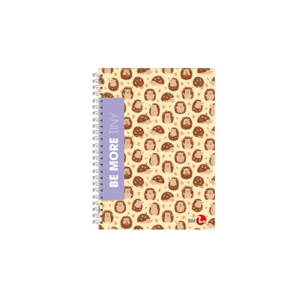 Quaderni Spiralati A5 Fantasia 60 Fogli a Quadretti