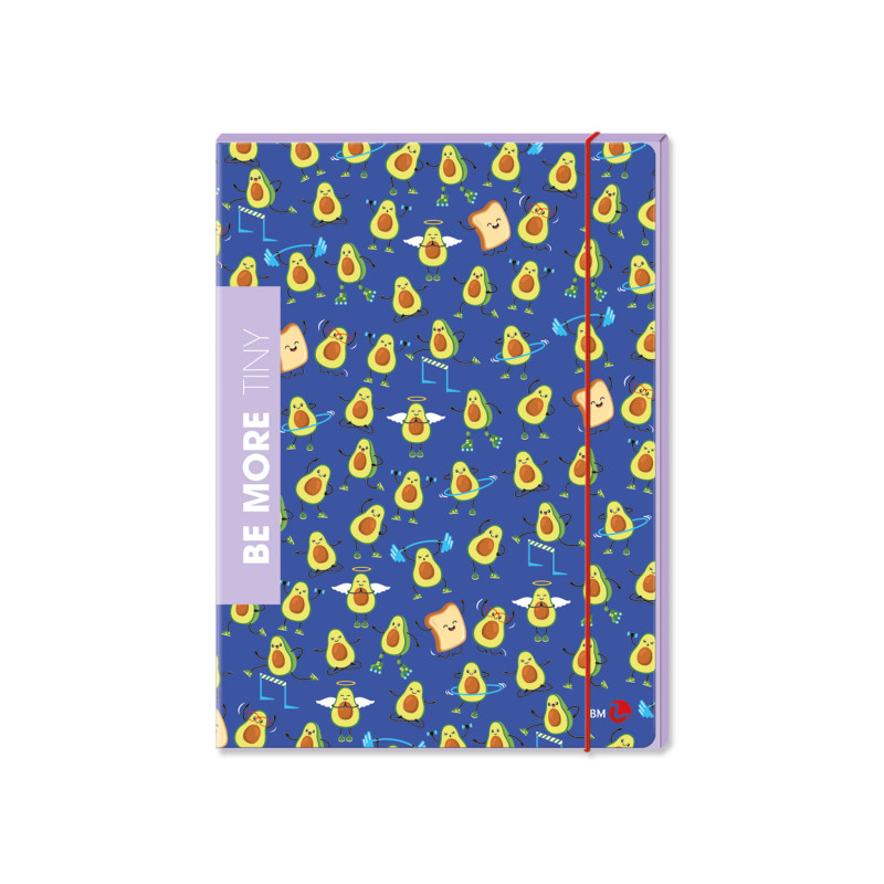 Cartellina 3 Lembi A4 con Elastico – Archivio Documenti