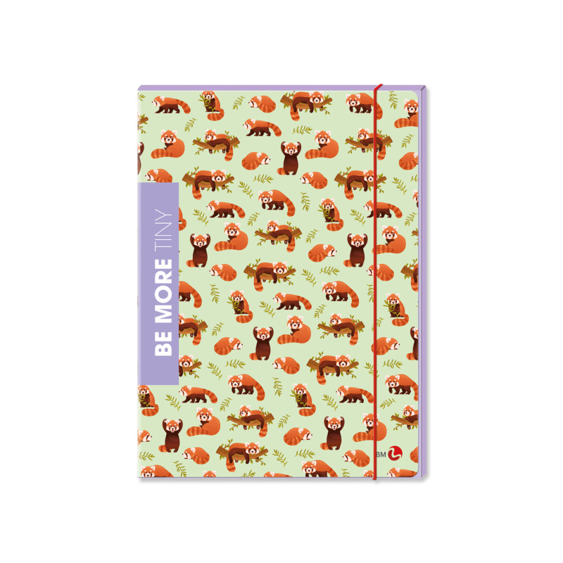 Cartellina 3 Lembi A4 con Elastico – Archivio Documenti