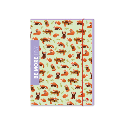 Cartellina 3 Lembi A4 con Elastico – Archivio Documenti