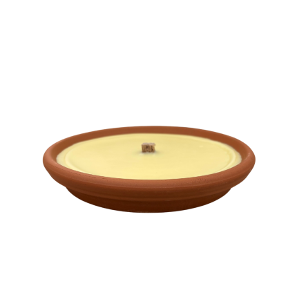 Vasetto in Terracotta con Citronella