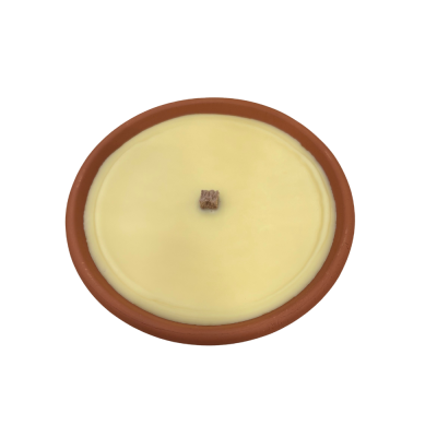 Vasetto in Terracotta con Citronella 2