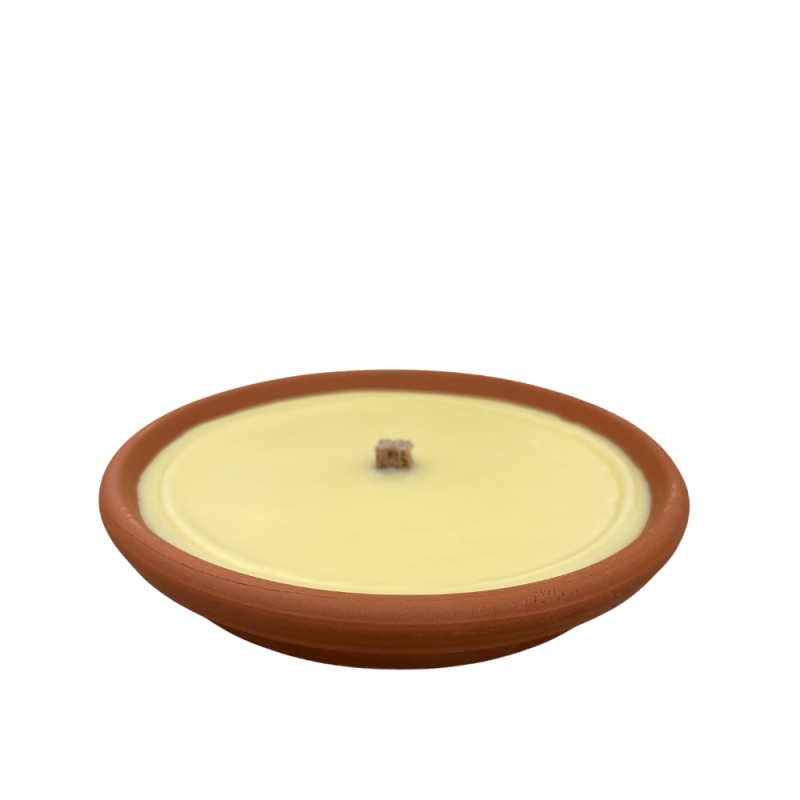 Vasetto in Terracotta con Citronella