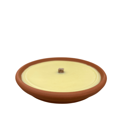 Vasetto in Terracotta con Citronella