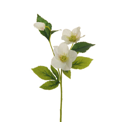 Ramo Rosa Crema 57cm