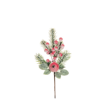 Ramo di Pino con Melograno e Bacche Ramo di Pino con Melograno e Bacche