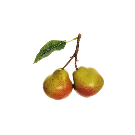 Pere con Foglie Decorative Pere con Foglie Decorative