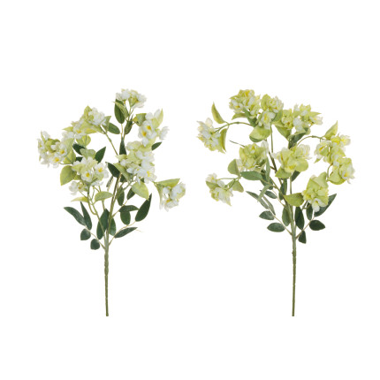 RAMO di Roselline Elleboro Bianche RAMO di Roselline Elleboro Bianche