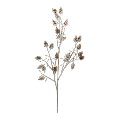 Ramo di Pigne Innevato Ramo di Pigne Innevato