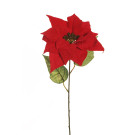Stella di Natale in Velluto 69cm
