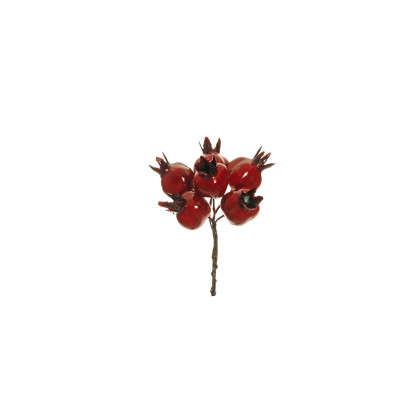 Pick Melograni Rossi 2