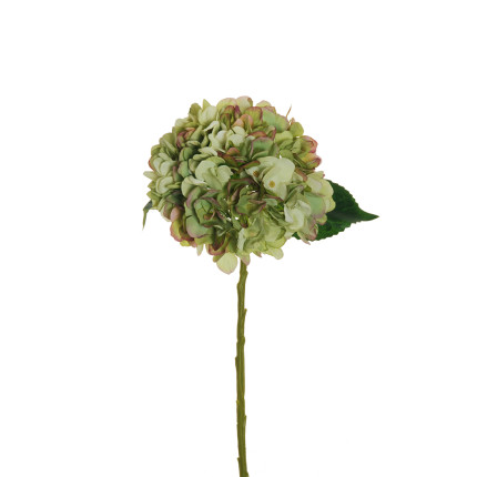 Ortensia Verde 50cm Ortensia Verde 50cm