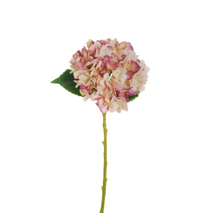 Ortensia Rosa 50cm Ortensia Rosa 50cm