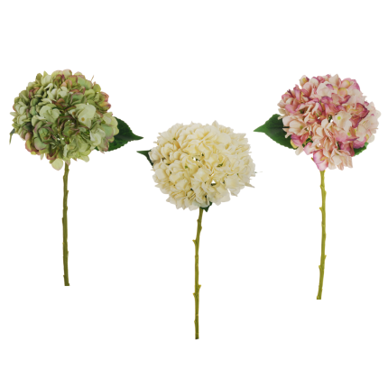 Ortensia 50cm Ortensia 50cm