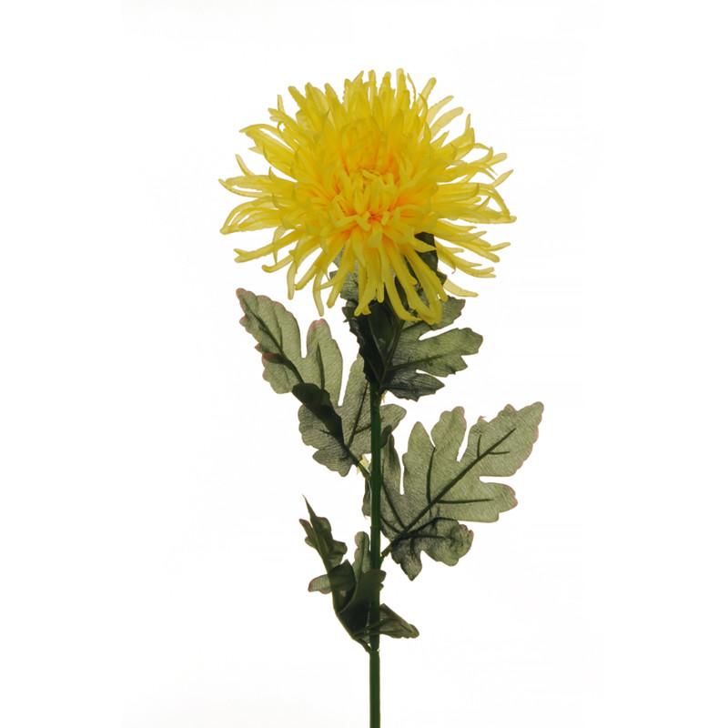 Ramo di Crisantemo Ragno Giallo