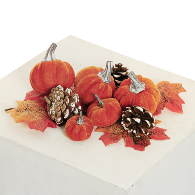 Decorazione Autunno Zucche Pigne e Foglie