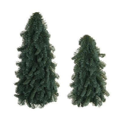 Albero Nobilis