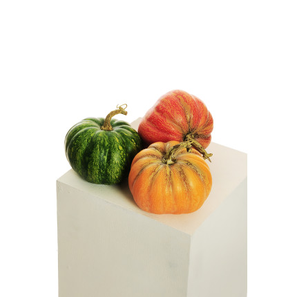 Decorazione Zucca Autunno Decorazione Zucca Autunno