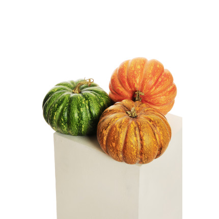 Decorazione Zucca Autunno Decorazione Zucca Autunno