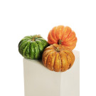 Decorazione Zucca Autunno