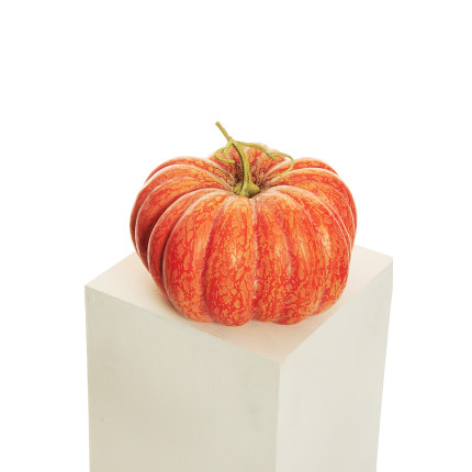 Decorazione Zucca Autunno Decorazione Zucca Autunno