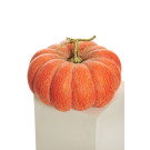 Decorazione Zucca Autunno