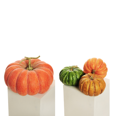 Decorazione Zucca Autunno