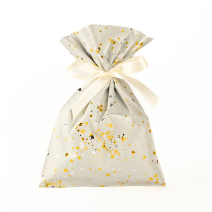 Buste da Regalo Little Star in Polipropilene