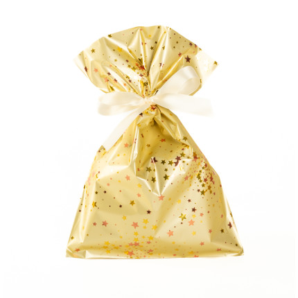 Buste da Regalo Little Star in Polipropilene