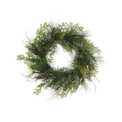 Corona Thuja 55cm
