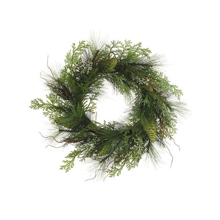 Corona Thuja 55cm Corona Thuja 55cm