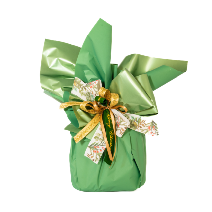 Fogli Polipropilene Pearly Metal