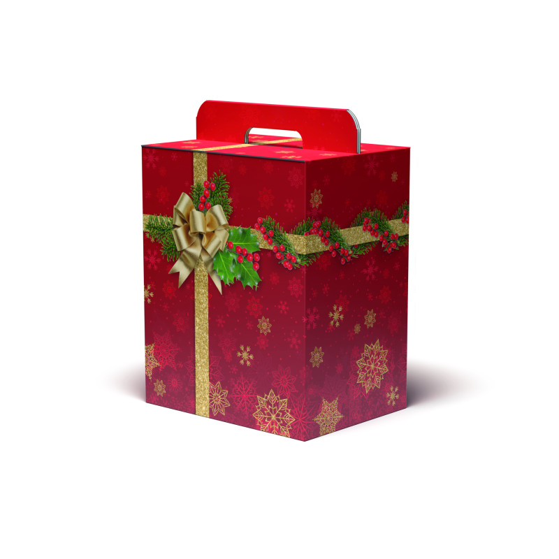 Scatola per Panettone e Bottiglia Holly Jolly