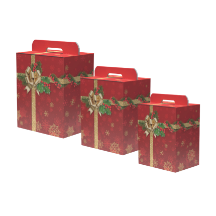 Scatola per Panettone e Bottiglia Holly Jolly