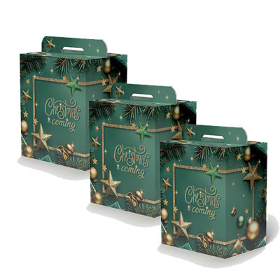 Scatola portapanettone e Bottiglia Starlight
