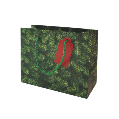 Shopper Aghios con Cordino in Cotone 2