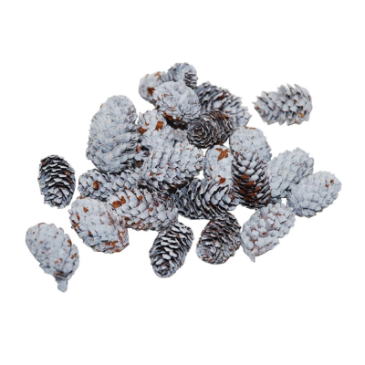 Mini Pigne Innevate 180gr