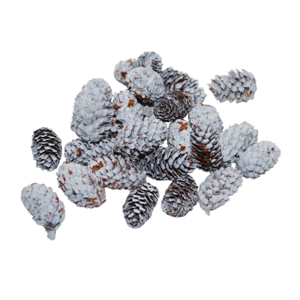 Mini Pigne Innevate 180gr