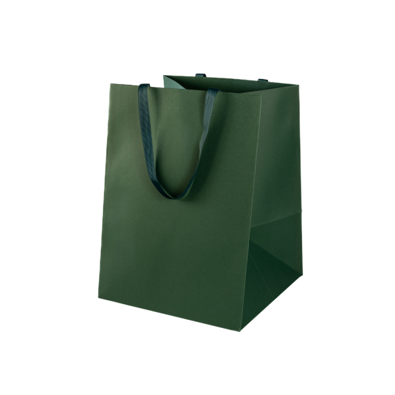 Shopper Special Paper Portapanettone Verde