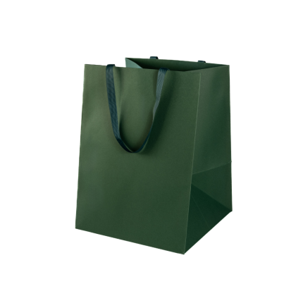 Shopper Special Paper Portapanettone Verde