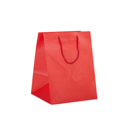 Sacchetti Portapanettone Plastificati – Confezioni Eleganti Sacchetti Portapanettone Plastificati – Confezioni Eleganti
