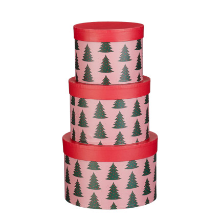 Scatola Tonda Alberelli Scatola Tonda Alberelli