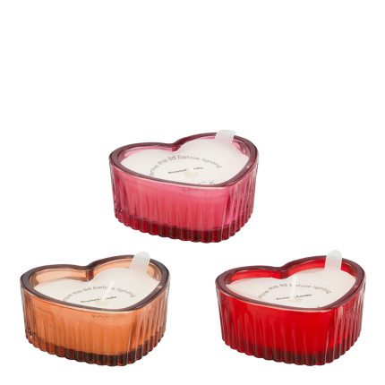Candela a Forma di Cuore con Vasetto