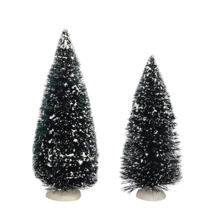 Alberello Bristle 15cm